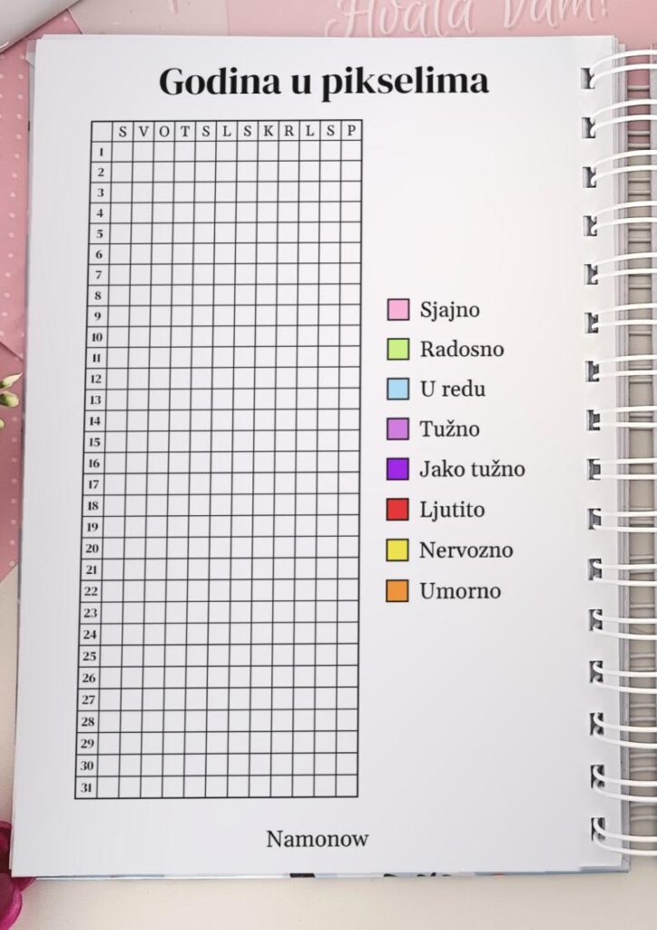Godina u pikselima